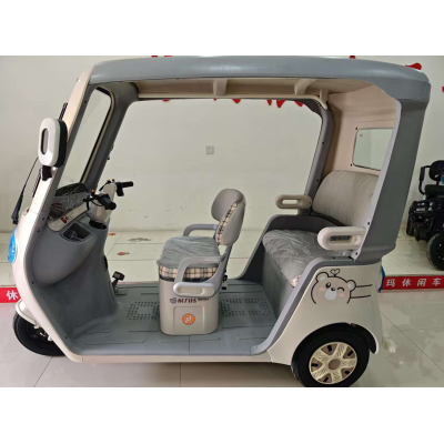 Longteng (Soaring Dragon)