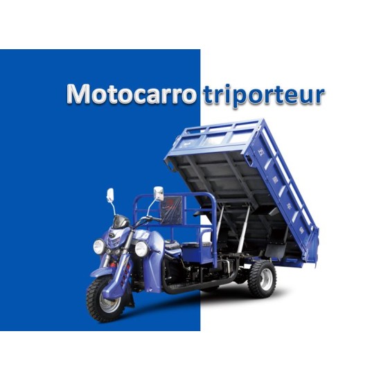 Motocarro triporteur carguero-300CC