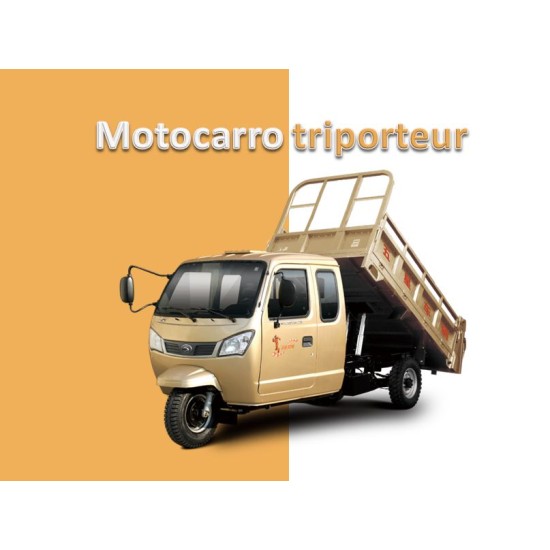 Motocarro triporteur carguero-800CC